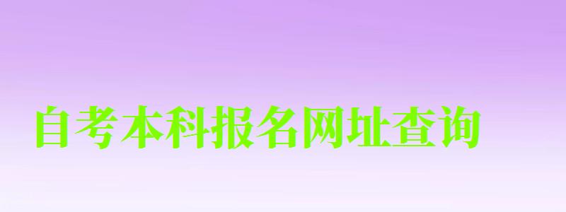自考本科報名網址查詢