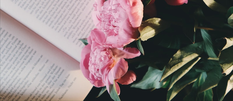 自考生到底要不要考研?