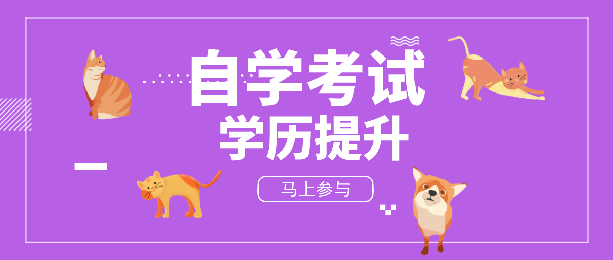 自考大專學歷有用嗎？有哪些用處？