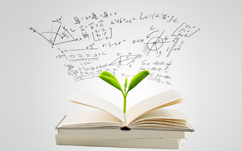 2023年西華師范大學專升本報名官網入口