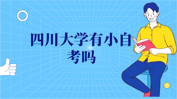 四川大學(xué)有小自考嗎