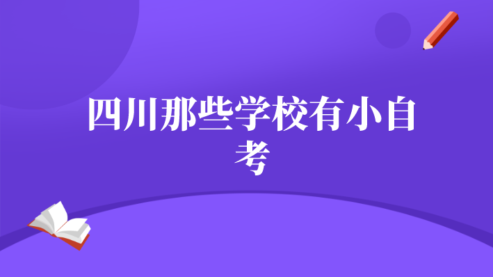四川那些學校有小自考