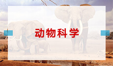 動物科學(應用型)(本科)